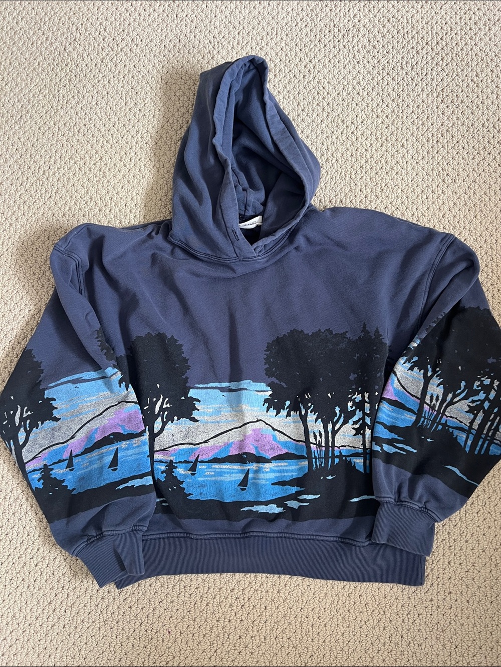 Daydreamer for Free People Forestscape Pullover Hoodie - Picture 3 of 7
